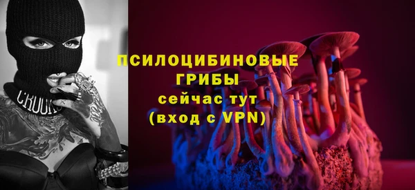 PSILOCYBIN Горняк