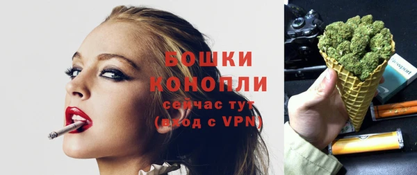 apvp Горнозаводск