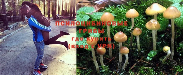 ГАЛЛЮЦИНОГЕННЫЕ ГРИБЫ Вяземский