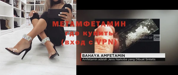 ГАЛЛЮЦИНОГЕННЫЕ ГРИБЫ Вяземский