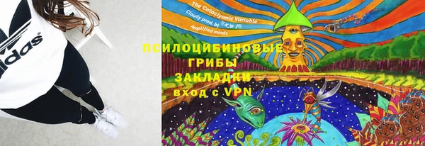 PSILOCYBIN Горняк