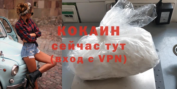 ГАЛЛЮЦИНОГЕННЫЕ ГРИБЫ Вяземский
