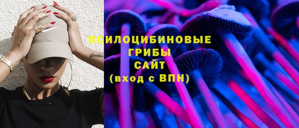 ГАЛЛЮЦИНОГЕННЫЕ ГРИБЫ Вязьма