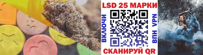 купить закладку  Камышин  Лсд 25 экстази кислота 